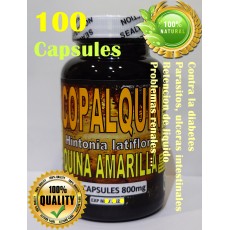 Copalquin Capsules Copalchi Hintonia latiflora Quina amarilla Yellow cinchona 800mg